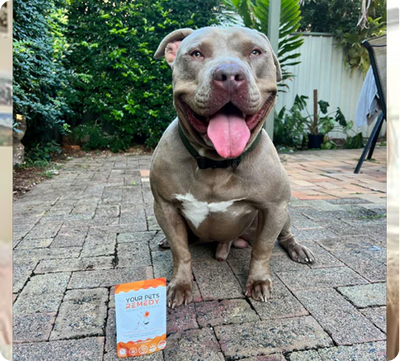 Customer photo