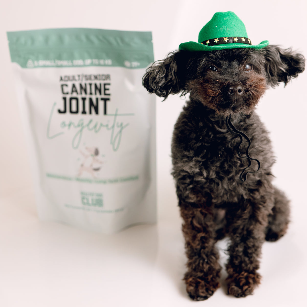 Dog Joint Care - Daily Sachets