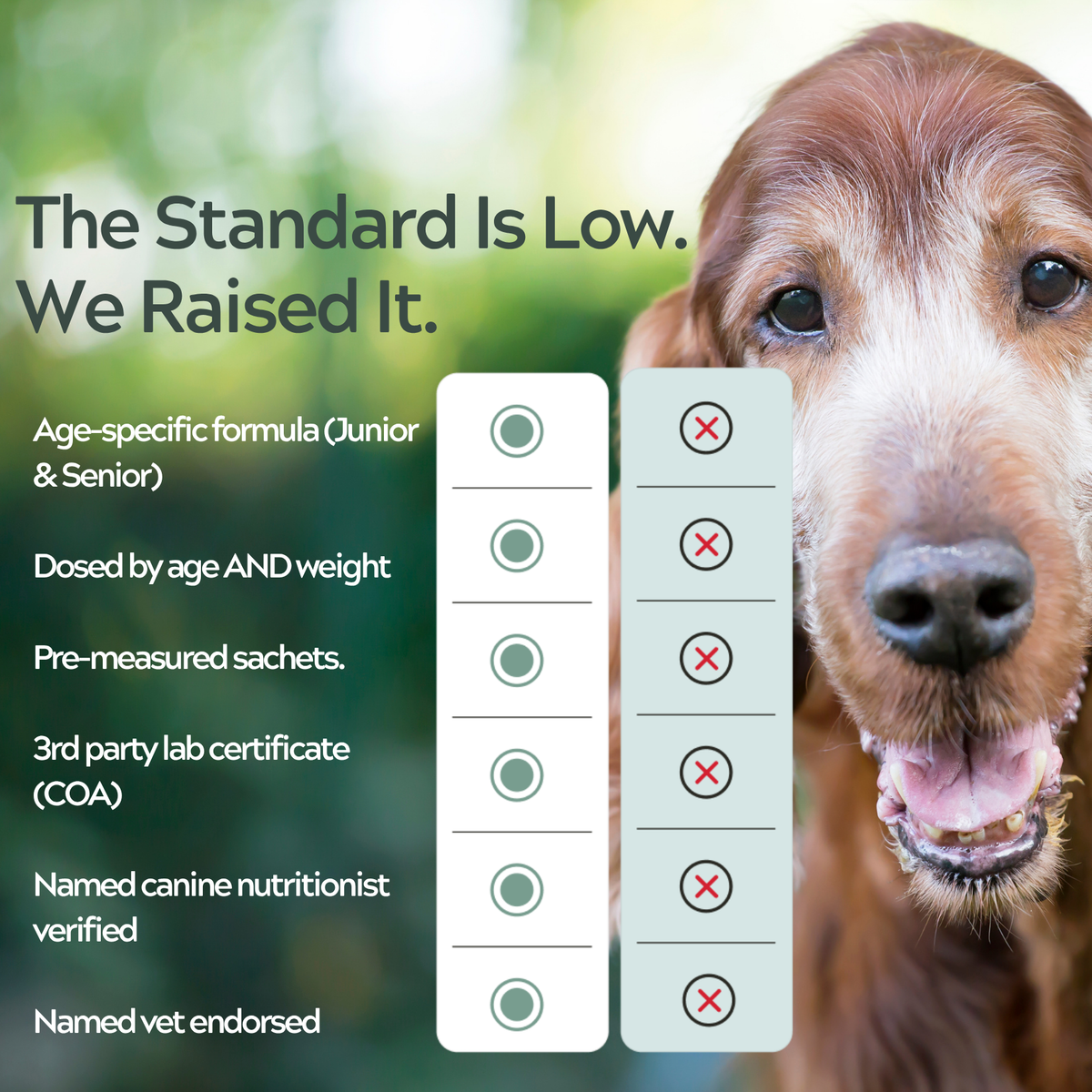 Dog Joint Care - Daily Sachets