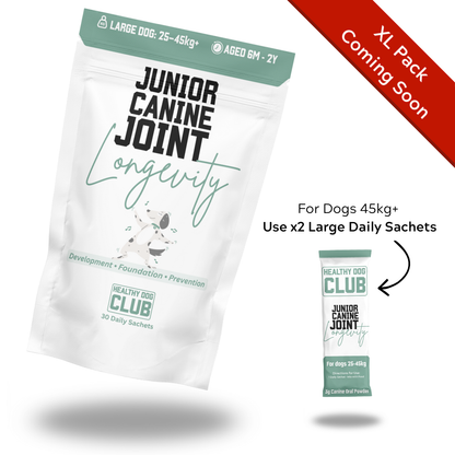 Canine Joint Longevity