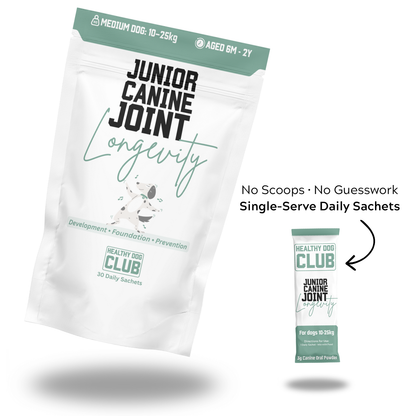 Canine Joint Longevity