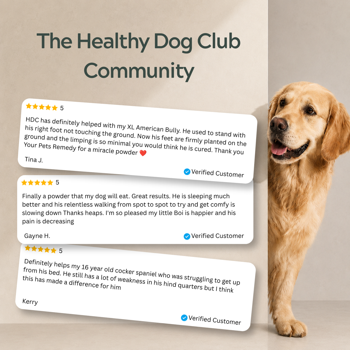 Dog Joint Care - Daily Sachets