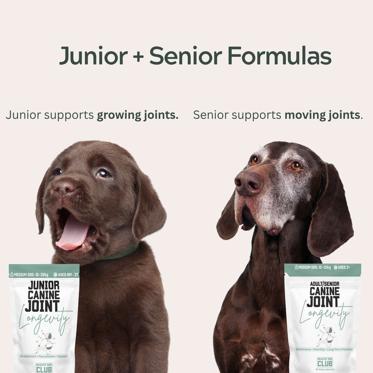 Dog Joint Care - Daily Sachets