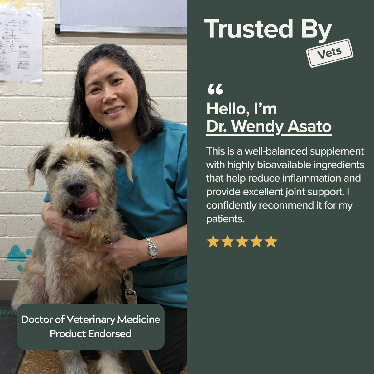 Dog Joint Care - Daily Sachets