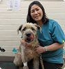 Dr. Wendy Asato, DVM