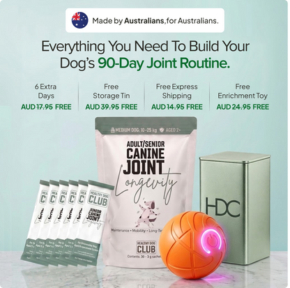 Canine Joint Longevity