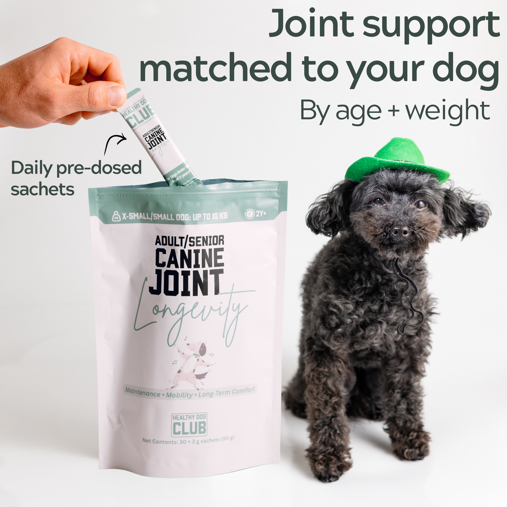 Daily Hip & Joint Care - 3 X Daily Sachet Testers