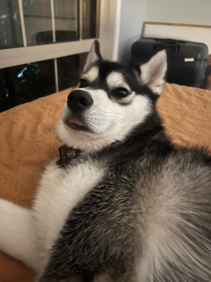 Samantha
