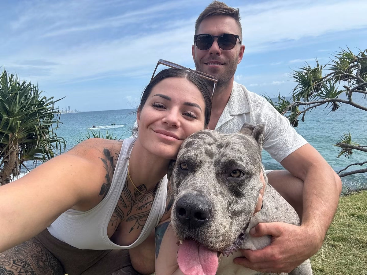 Our story - people who love dogs