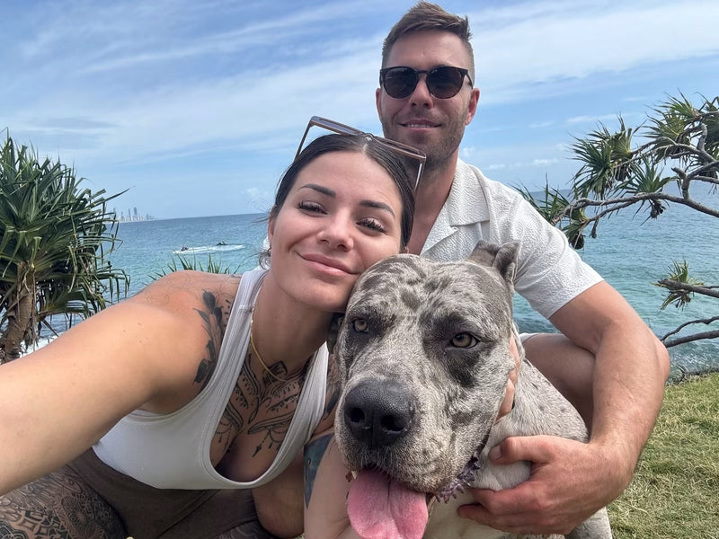 Our story - people who love dogs