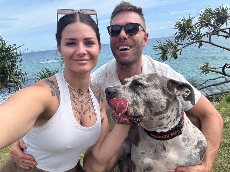 Our story - people who love dogs
