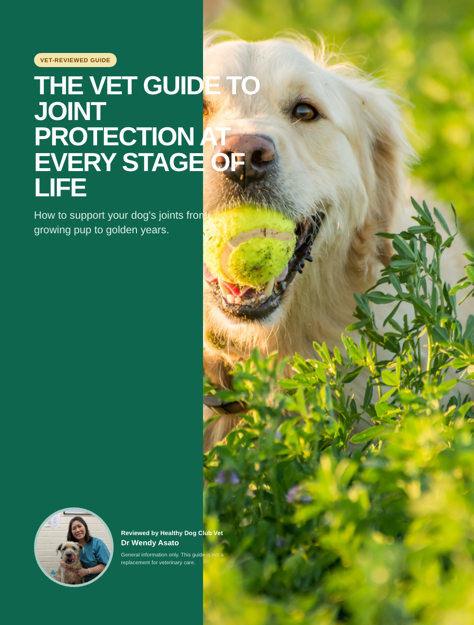 Vet Guide To Joint Health