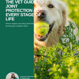 Vet Guide To Joint Health