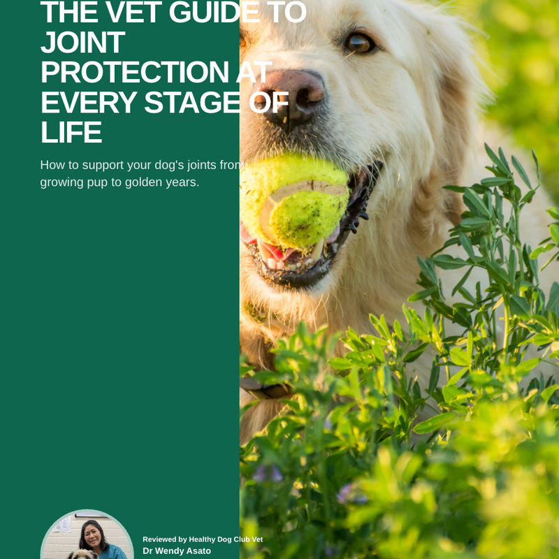 Vet Guide To Joint Health