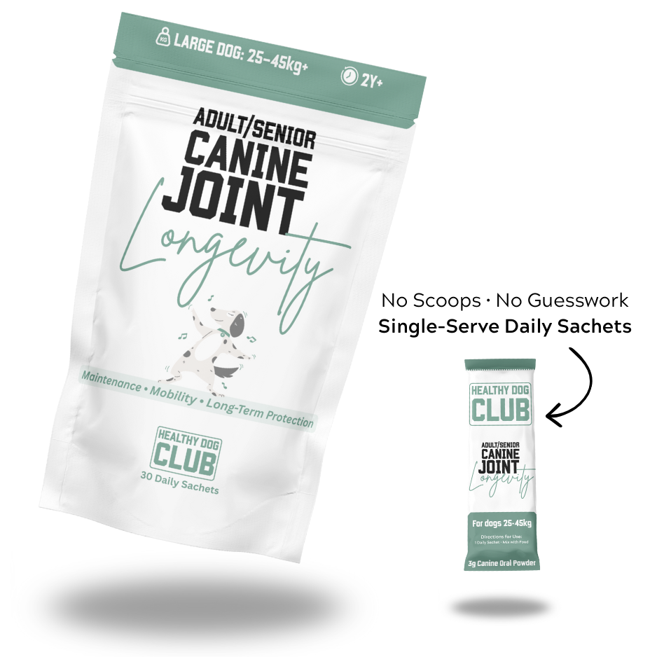 Canine Joint Longevity