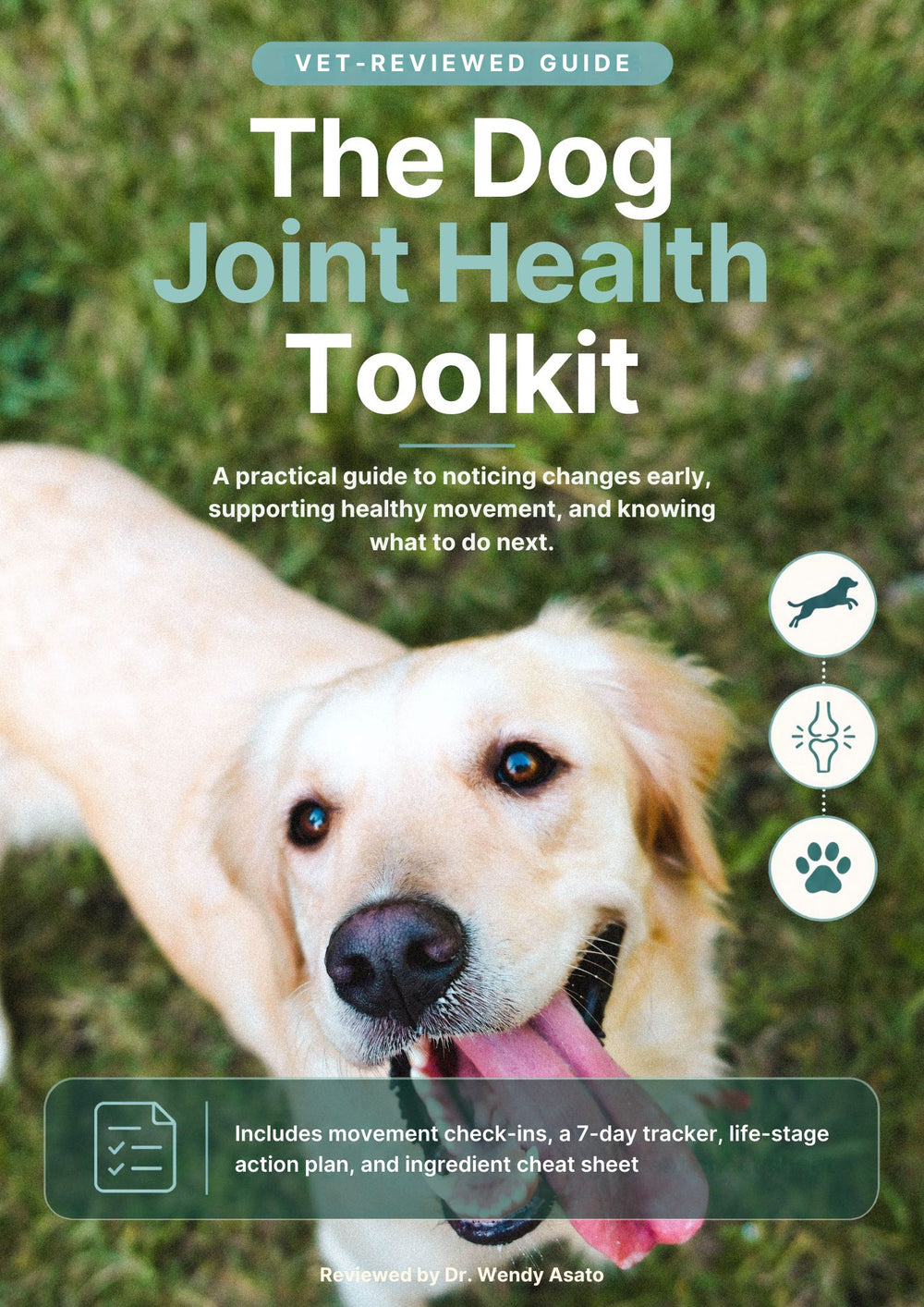 Would you notice the early signs if your dog’s joints were starting to change?