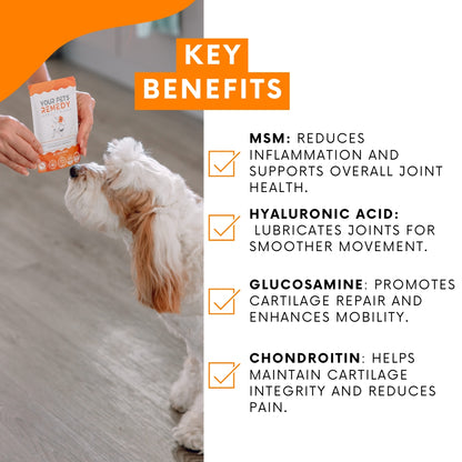 YPR Dog Joint Supplement