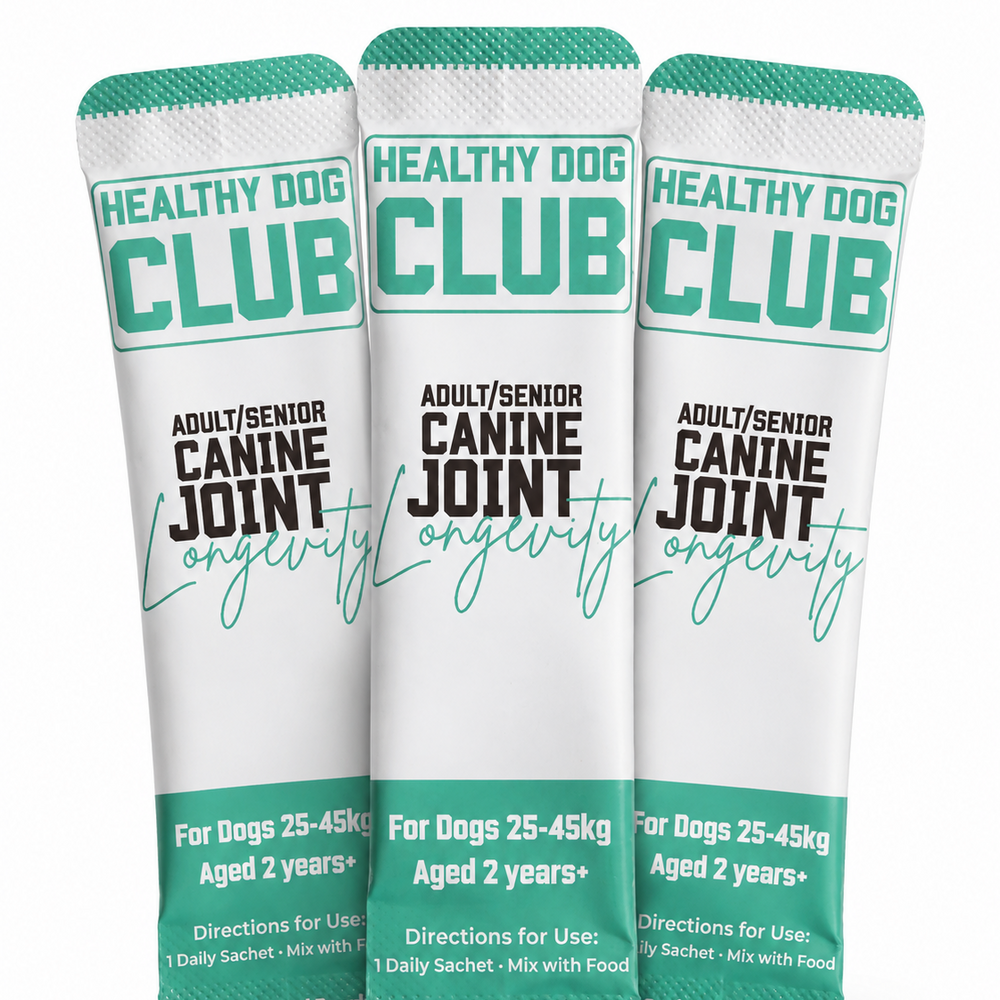 Daily Hip & Joint Care - 3 X Daily Sachet Testers